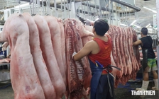 TP.HCM siết quản lý an toàn thực phẩm, bảo vệ bữa ăn của 14 triệu dân ra sao?