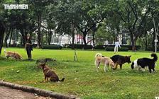 Lăng kính bạn đọc: Công viên không phải tài sản riêng của người nuôi chó