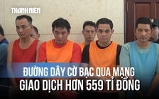 TP.HCM: Triệt xóa đường dây cờ bạc qua mạng giao dịch hơn 559 tỉ đồng