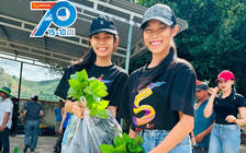 Phong trào 'Tôi yêu Tổ quốc tôi': Khơi dậy mạnh mẽ lòng yêu nước trong mỗi người trẻ