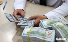 Giá USD hôm nay 22.8.2026: Ngân hàng tăng nhẹ