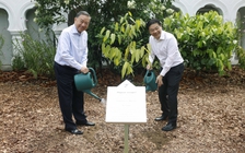 Sự phối hợp Việt Nam - Singapore mang ý nghĩa then chốt trong khu vực