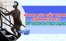 Vì sao leo cầu thang mỗi ngày có thể giảm nguy cơ tử vong do bệnh tim?
