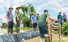 Căng sức ứng phó mưa lũ bão số 4
