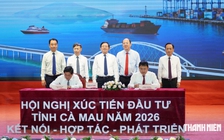 Cà Mau trao quyết định đầu tư cho 19 dự án hơn 40.000 tỉ đồng