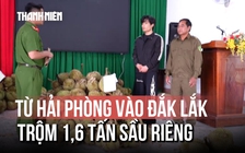 Nghi phạm trộm 1,6 tấn sầu riêng ở Đắk Lắk: 'Cảm thấy có lỗi với nông dân'