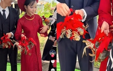 Cô dâu, chú rể trả duyên dàn bê tráp bằng cua Cà Mau