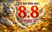 Hôm nay 8.8 là ngày gì đặc biệt?