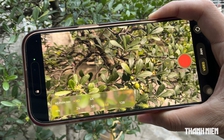 Nên lựa chọn quay video 30 FPS hay 60 FPS trên điện thoại?