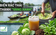 Cùng sống xanh 165: Biến rác trên sông thành dinh dưỡng cho cây xanh