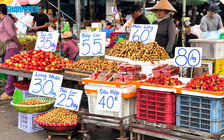 Xuất khẩu tăng tốc, vì sao giá rau quả giảm mạnh?