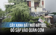 Khoảnh khắc cây xanh bật gốc đè sập quán cơm: Người đàn ông đi xe máy thoát nạn khó tin