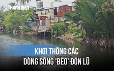Khánh Hòa: Huy động máy đào và sà lan khơi thông các dòng sông 'bèo' đón lũ