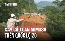 37 tỉ đồng xây cầu cạn Mimosa qua cung đường nguy cơ sạt lở