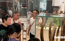 Khoảng trống nào để người Trung Quốc 'cầm đoàn', điểm shopping khép kín hoạt động?