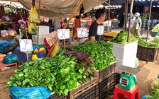 Rau củ tăng giá, trái cây dội chợ