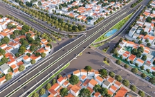 TP.HCM di dời gần 190 cây xanh, chuẩn bị thi công nút giao Vành đai 2