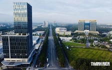 TP.HCM tổ chức lại phòng chuyên môn