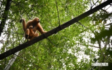 'Săn' thú rừng ở Nam Cát Tiên