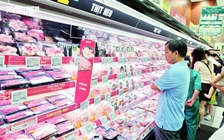 Giá heo hơi hôm nay 19.9.2026: Dao động nhẹ