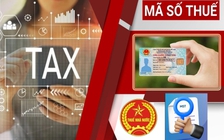 Tra cứu nhanh, biết ngay mã số thuế có thuộc trạng thái 03, 05, 06