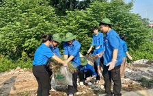 Thanh niên 126 xã, phường Hà Nội ra quân bảo vệ môi trường