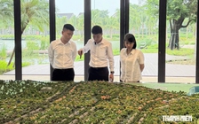 Môi giới bất động sản: Khi chứng chỉ trở thành điều kiện hành nghề