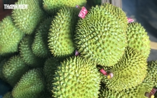 Cú 'hattrick tỉ USD' của ngành rau quả