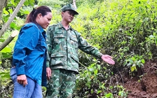 Mưa lớn dồn dập, Đà Nẵng cảnh báo lũ quét, sạt lở đất ở vùng núi