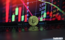 Giá Bitcoin hôm nay 23.9.2026: 'Mùa altcoin' đang đến?