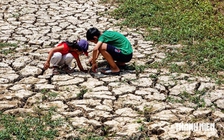 Nguy cơ thiếu hụt nguồn nước do El Nino, Chính phủ yêu cầu chủ động ứng phó