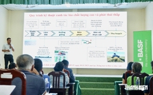 Nông dân Đồng Tháp thử cách làm lúa ít nước, không đốt rơm
