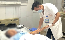 Cẩn trọng khi nhà có chó nuôi con