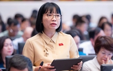 Không thể chuyển rủi ro, chi phí hoạt động kinh doanh sang người sử dụng điện