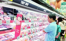 Giá heo hơi hôm nay 29.9.2026: Chưa có điểm dừng