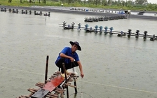 Kết hợp 4 vật nuôi trên 1 ha đất, thu lãi gần 400 triệu đồng/năm
