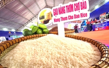 Tây Ninh định vị thương hiệu nông sản trên bản đồ thương mại toàn cầu