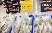 Tôm hùm giá 'bình dân' tràn ngập siêu thị, chợ online