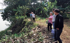 Sông Mã chực 'nuốt' nhà dân, chính quyền vẫn bảo 'không đáng lo'!