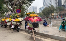 Hà Nội: Hoa tươi 'siêu rẻ' vẫn ế ẩm sau tết