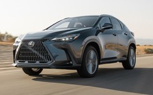 Lexus NX350 tại Việt Nam bị lỗi phanh, nguy cơ xe tự trôi khi đang đỗ