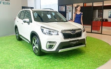 Subaru Forester nhập từ Thái Lan, giá bán cạnh tranh Honda CR-V, Mazda CX-5