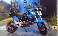 Xe côn tay cỡ nhỏ Honda MSX 125 được làm mới, giá từ 2.300 USD
