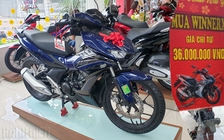 Giá bán Honda Winner X tại đại lý tiếp tục giảm sâu