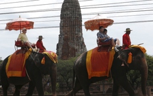 Voi giẫm chết du khách tại Thái Lan