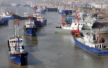 Tàu cá Trung Quốc lộng hành, đánh bắt trái phép khắp nơi