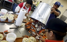 Thiếu nhân công, Mỹ nhận thêm 15.000 lao động nước ngoài