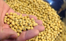 Trung Quốc tiếp tục đánh thuế đáp trả Mỹ