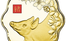 Nhộn nhịp thị trường tiền xu năm Kỷ Hợi