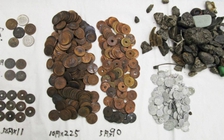 Mổ bụng cá sấu trong sở thú Nhật, phát hiện hơn 300 đồng xu